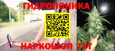 крисы Усть-Илимск